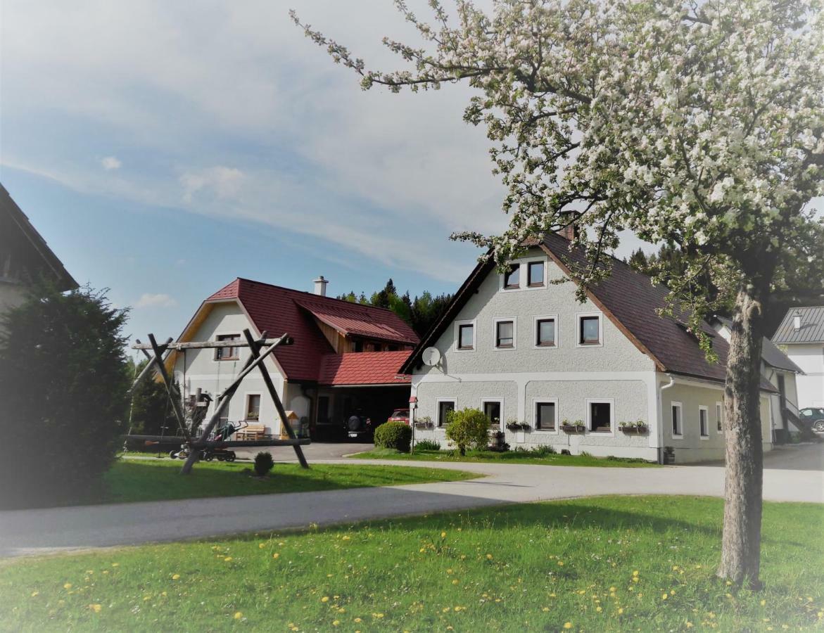 Апартаменты Biobauernhof Obereck Гестлинг-на-Ибсе Экстерьер фото